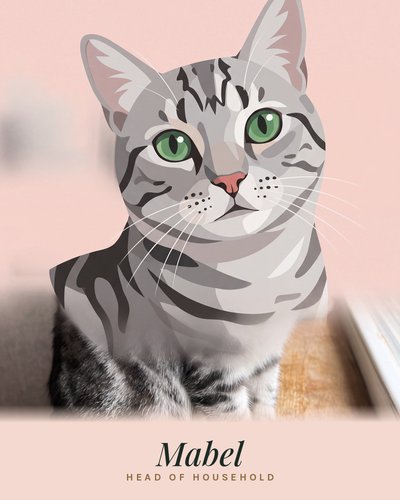 Example portrait in the Studio style: a silver tabby cat as a modern illustration on blush pink, named Mabel