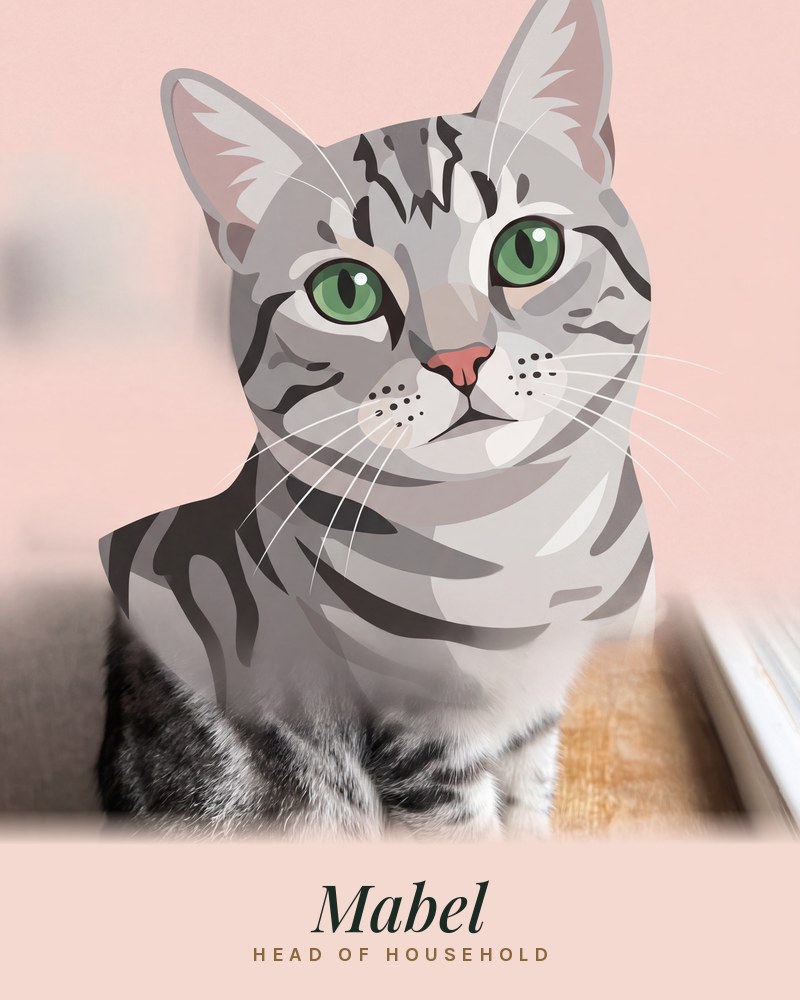 Example portrait in the Studio style: a silver tabby cat as a modern illustration on blush pink, named Mabel