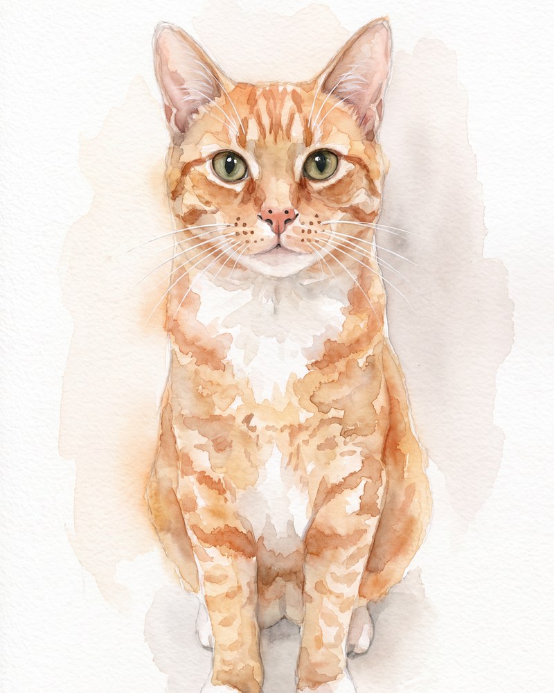 Example portrait in the Watercolour style: a ginger and white tabby cat in soft washes on textured paper